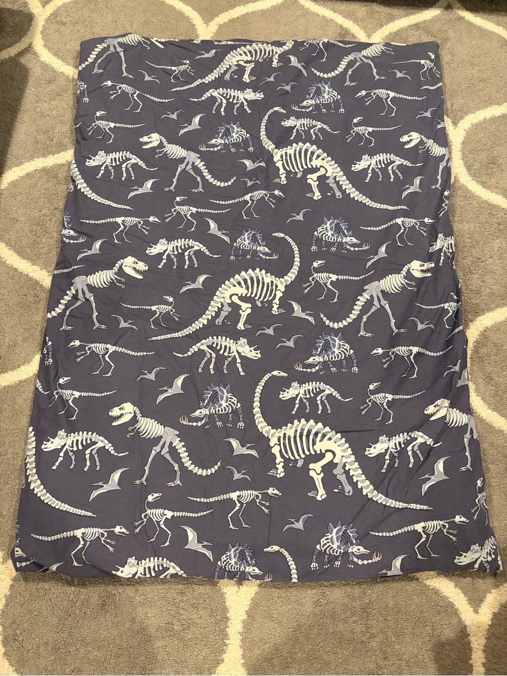 Pottery Barn Kids Glow-in-the-Dark Dino Bones Toddler Duvet Cover, Blue Multi